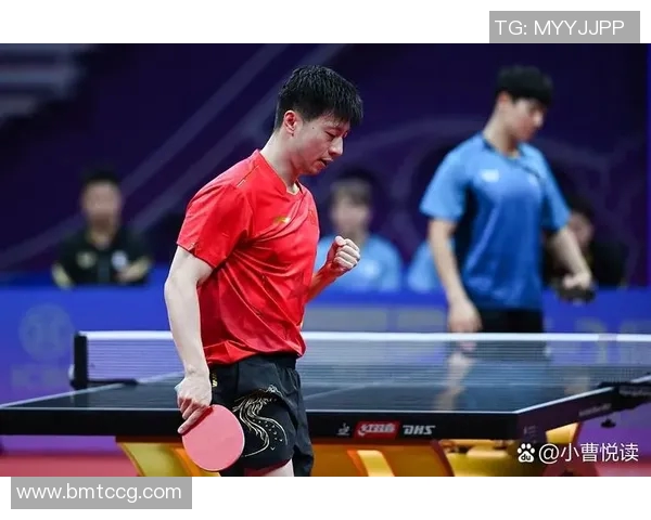 乒乓球的奋斗与荣耀：西安乒乓球队成长历程的真实记录与感悟